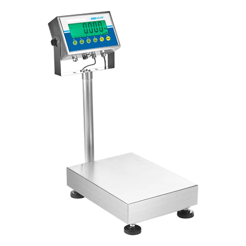 Adam Gladiator stainless steel bench scale Fisher Scales Norfolk