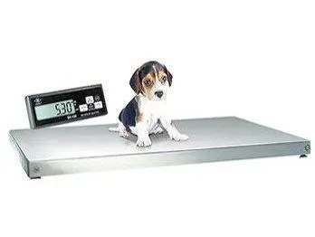 Excell SK veterinary scale with stainless steel top cover Fisher Scales Norfolk